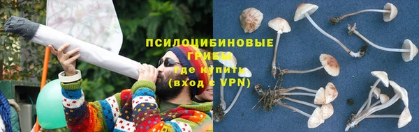 индика Алексеевка